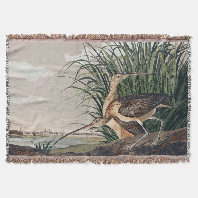 Manta Ave Audubon (Anverso)