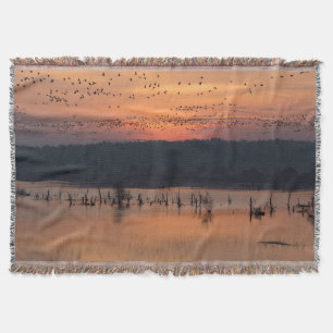 Manta Aves al amanecer