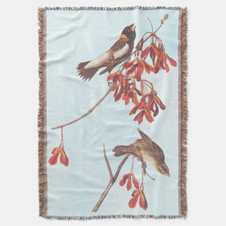 Manta Aves de Audubon haciendo Bunting Rice o aves Bobol