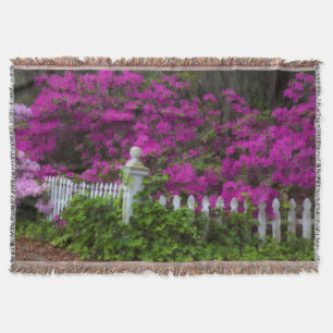 Manta Azaleas en primavera en Historic Isle of Hope