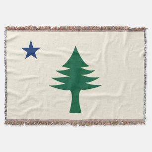 Manta Bandera principal de 1901