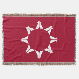 Manta Bandera sioux de Oglala Lakota