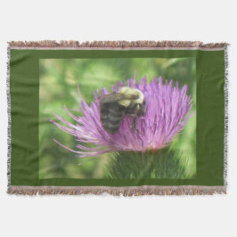 Manta Bee On Thistle