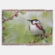 Bird yellow_blanket
