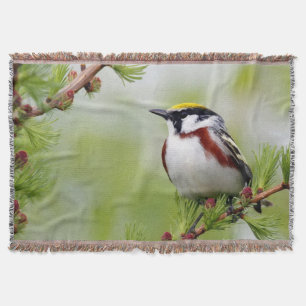 Manta Bird yellow_blanket