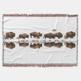 Manta Bison Roaming en la nieve de invierno |