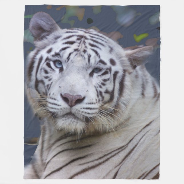 Manta blanca del tigre (Anverso)