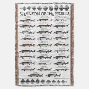 MANTA BLANKET -STURGEON OF THE WORLD POSTER -FIRST EVER