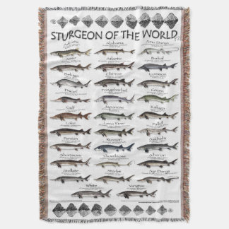 MANTA BLANKET -STURGEON OF THE WORLD POSTER -FIRST EVER