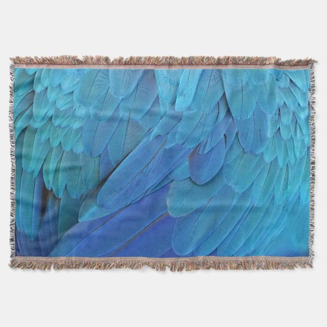 Manta Blue feathers (Anverso)