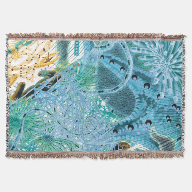 Manta Blue Great Barrier Reef Echinoderms | Vintage (Anverso)