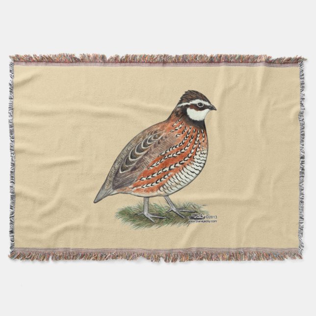 Manta Bobwhite Quail Rooster (Anverso)