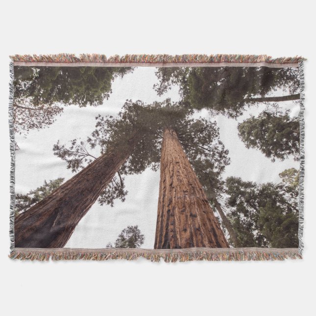 Manta bosque, árbol (Anverso)