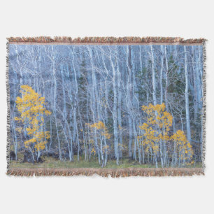 Manta Bosque Aspen