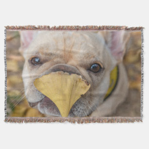 Manta Bulldog francés adorable