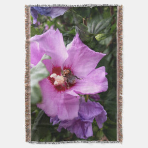 Manta Bumblebee en la flor de Hibiscus