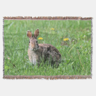Manta Bunny