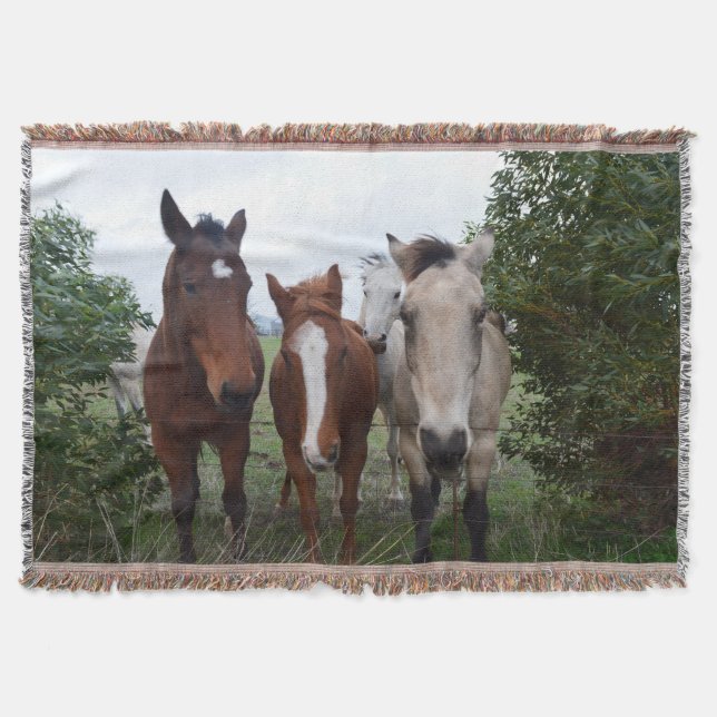 Manta Cabello Frisado, Cuatro Amigos Caballos, (Anverso)