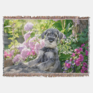 Manta Cachorro Schnauzer estándar en un jardín de flores