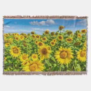Manta Campo de girasoles, día soleado de verano.
