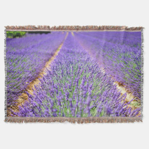 Manta Campo Lavender
