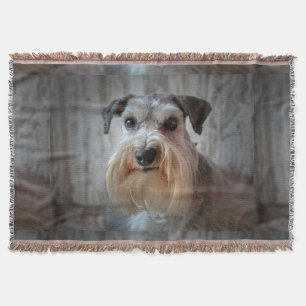 Manta Cara del perro Schnauzer