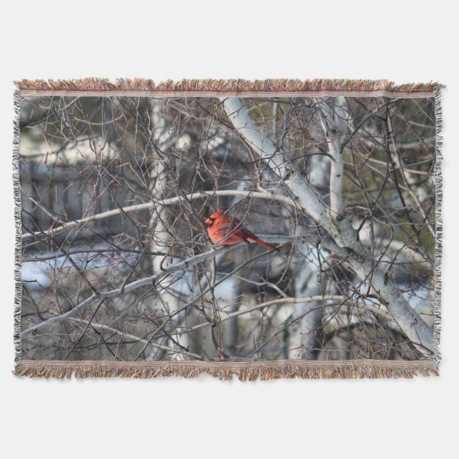 Manta Cardinal 2926 Lanzamiento abierto (Anverso)