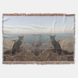 Manta Cat y Sunset