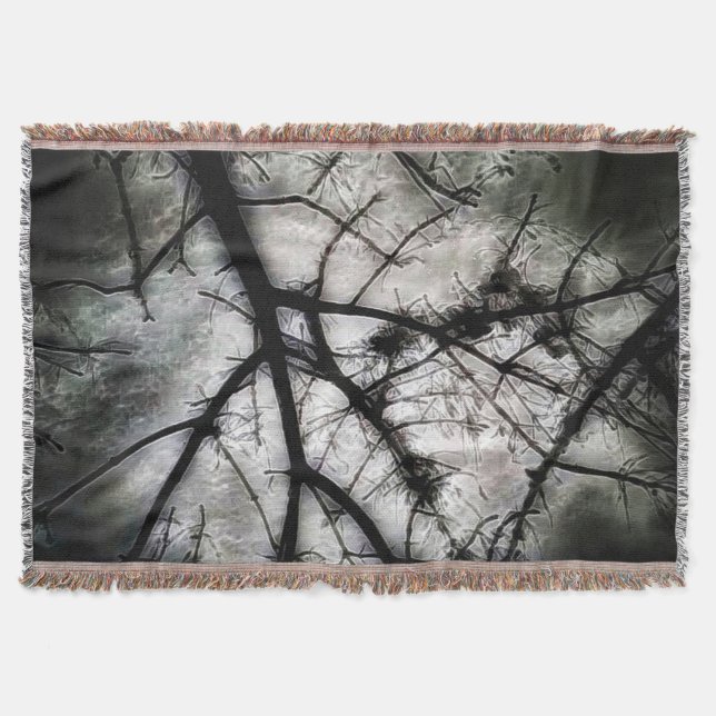 Manta Cerrando (Anverso)