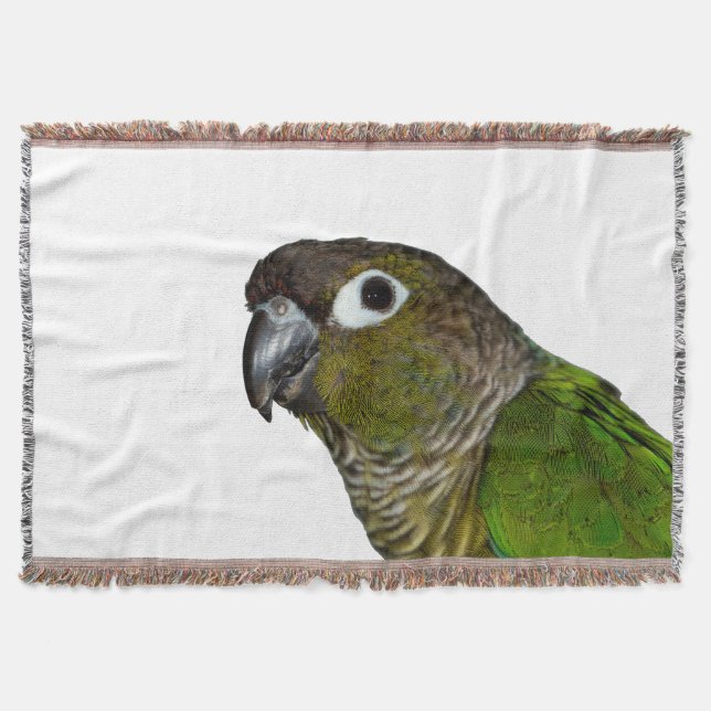 Manta Cheeked verde Conure (Anverso)