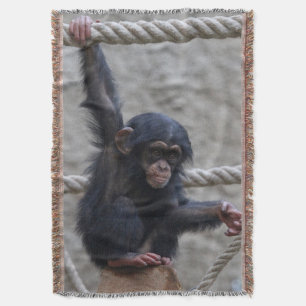 Manta Chimpanzee 017