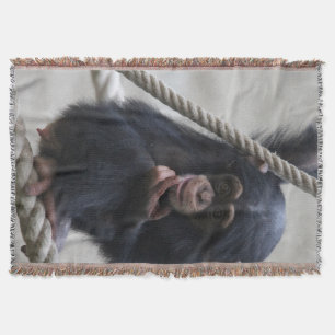 Manta Chimpanzee 030