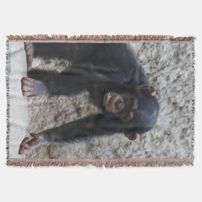 Manta Chimpanzee 031 (Anverso)