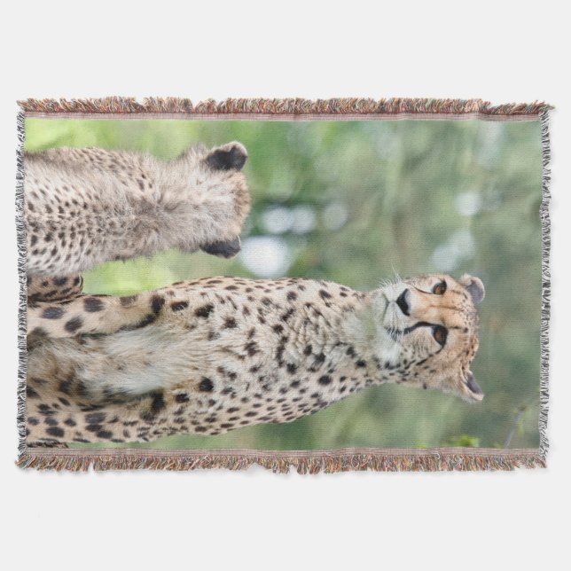 Manta Chita 004 (Anverso)