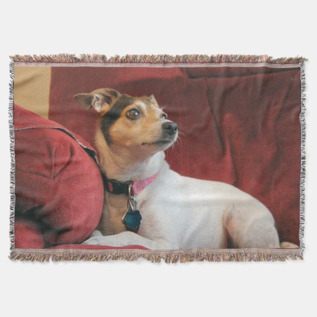 Manta Clásico (Anverso)