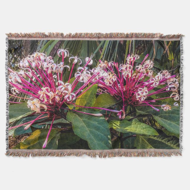 Manta Clerodendrum Starburst Flowst Throw Blanket (Anverso)