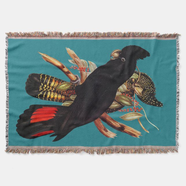 Manta Cockatoo negro vintage | Elizabeth Gould 1800 Pos (Anverso)