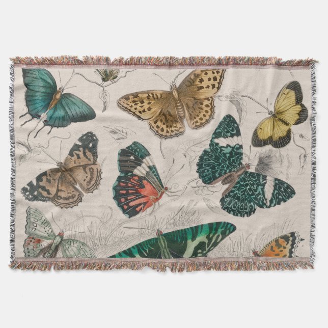 Manta Colección de mariposa Mariposas antiguas (Anverso)