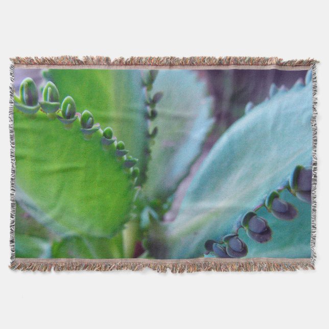 Manta Colores de Kalonchoe (Anverso)