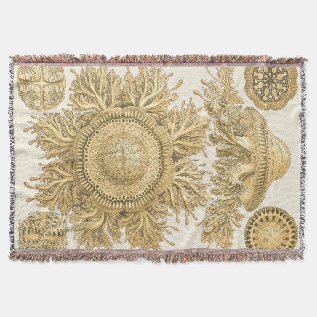 Manta Criaturas del Mar de Oro (Anverso)