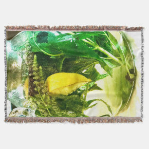 Manta Cuando la vida te da limones calcetines