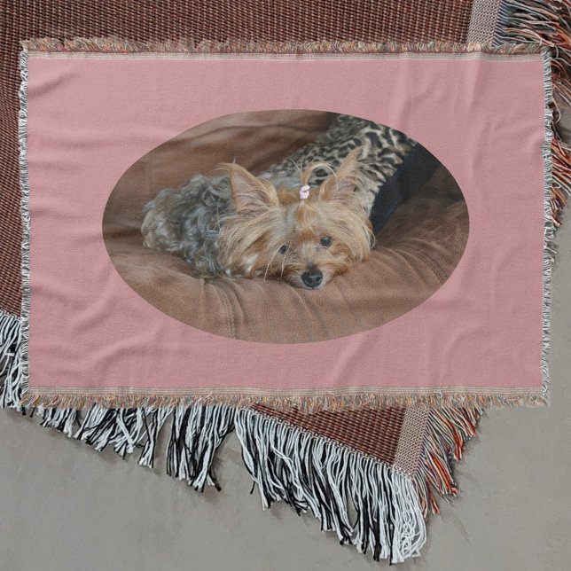 Manta Cuidadosamente tierno yorkie pippy (Subido por el creador)
