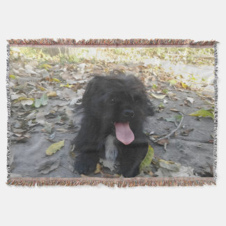 Manta Cute Puppy Alert