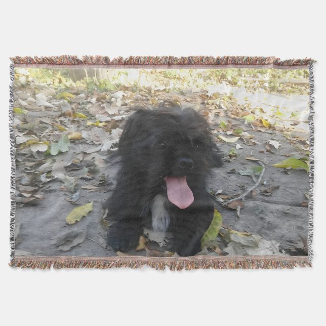 Manta Cute Puppy Alert (Anverso)