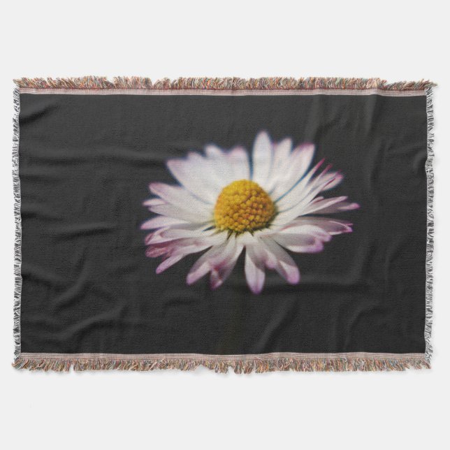 Manta Daisy tbcna (Anverso)