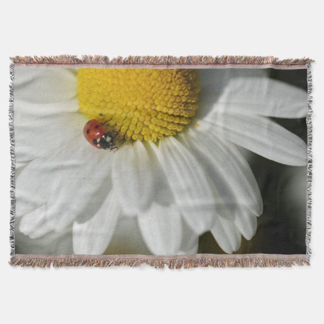 Manta Daisy Y Una Ladybug (Anverso)