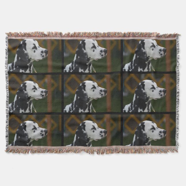 Manta Dalmatian manchado dulce (Anverso)