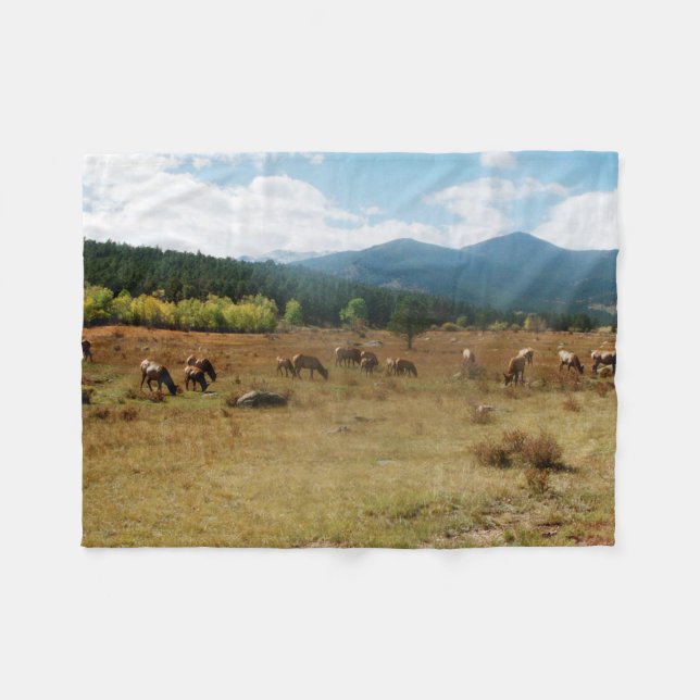 Manta de la pulga de gran angular del lomo (Frente (Horizontal))