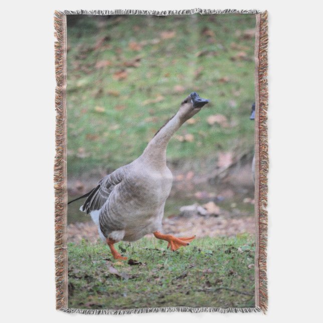 Manta de lana de gallina (Frente vertical)