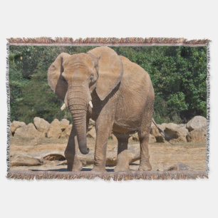 Manta de lanzamiento de elefante macho